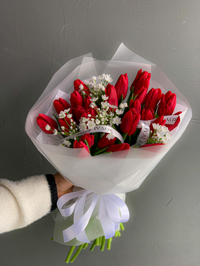 Красные тюльпаны и аллиум "RED" 25 шт