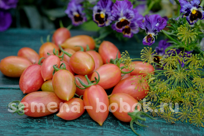 Томат Блаш Розовый (Pink Blush), 10 шт