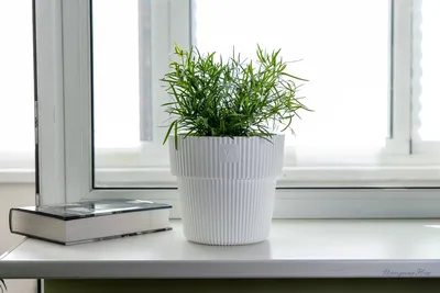 Горшок с дренажной системой Алемар VipSet 4,8л белый