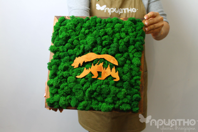 ЖИВАЯ ЭКО-КАРТИНА 1028