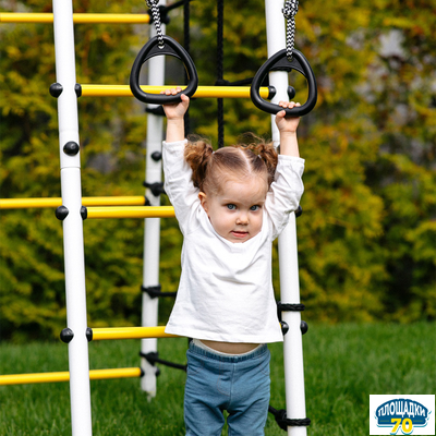Детский спортивный комплекс для дачи ROMANA Богатырь (серый/желтый) (с фанерными качелями)