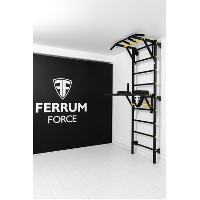 Шведская стенка Ferrum Force F2 купить в Воронеже