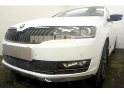 Защита радиатора Skoda Rapid 2017- (2 части) black