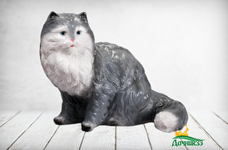 Кот персидский серый