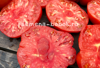 Томат Red Brandywine, Landis Valley (Красный Брендивайн Долина Лэндис), 10 шт
