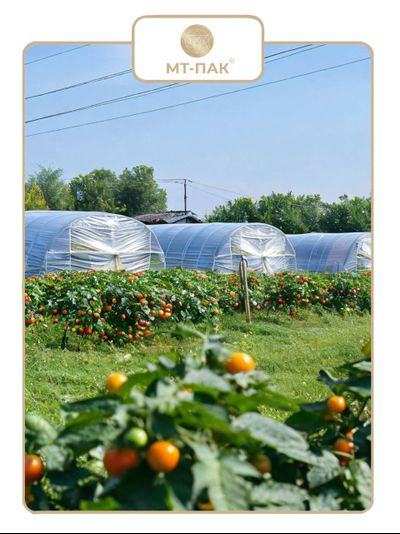Пленка для парника и теплицы 4 м × 100 м 150 мкм 34 кг МТ-ПАК