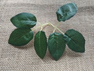 Лист розочки двойной темно-зеленый с прожилками, размер листа 5,5 см * 3,5 см