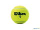 Теннисные мячи Wilson Championship Extra Duty x4