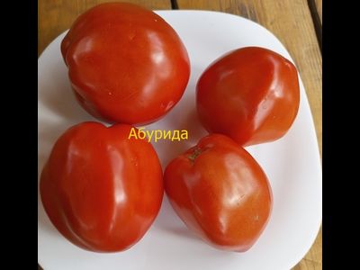 Томат Абурида