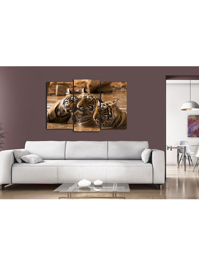 Модульная картина "Тигры в воде"