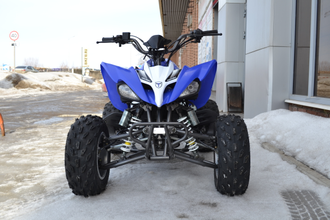 Квадроцикл ATV 250S фото