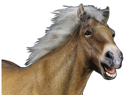 Монгольский конь (Лошадь) в динамичной позе - Коллекционная ФИГУРКА 1/6 scale animal model No.33:Mongolica (dynamic posture) (Mr.Z033-MD002) - Mr.Z