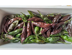 Перец острый  Machu Picchu