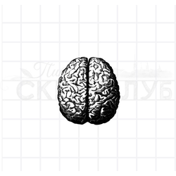 ФП штамп "Мозг" (а)