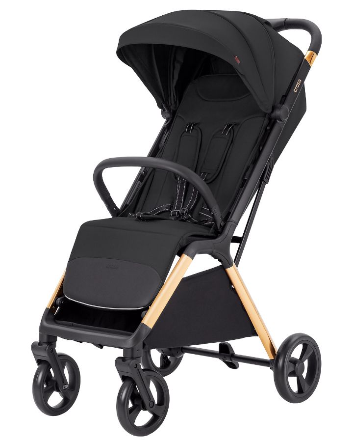 Коляска прогулочная Carrello Cross CRL-5523 Raven Black
