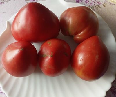 Томат Трюфельное сердце