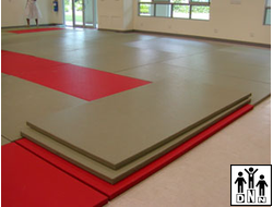 Татами Премиум ППЭ, 5 см, верх Judo, низ Антислип ромб, 160 кг/м3