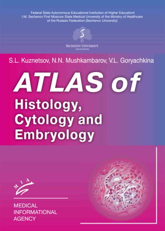 Atlas of Histology, Cytology and Embryology. S.L. Kuznetsov, N.N. Mushkambarov, V.L. Goryachkina. &quot;МИА&quot; (Медицинское информационное агентство). 2024