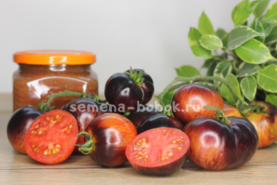 Томат Королева ночи (Koenigin der Nacht), 10 шт.
