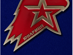 Значок Юнармии на пимсах (нет в наличии)