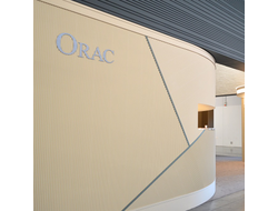 Декоративная стеновая 3D панель из полиуретана Orac Decor W213 HILL TRACE