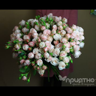 БУКЕТ МОНО ЦВЕТОВ № 443