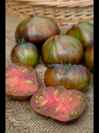 Томат Триумф Софии, 10 шт