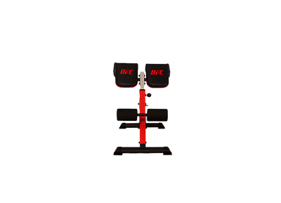 UFC Гиперэкстензия наклонная 45 градусов в Воронеже