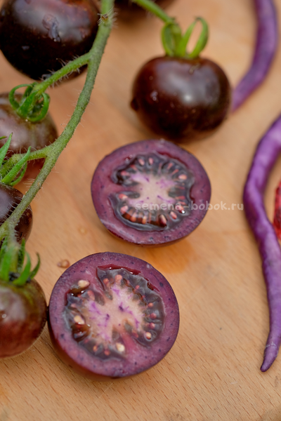 Томат Empress Purple Tomato (Черничный Щербет), 8 шт
