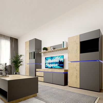 ШМ101 Гостиная Делюкс. Размер: 2955х1905х455. ТВ ниша: 1355х455