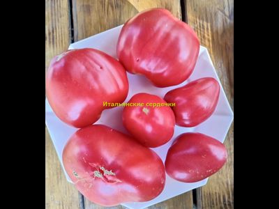 Томат Итальянские сердечки