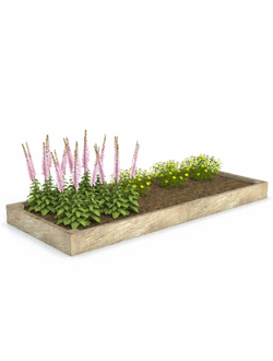 грядки Грядка 3 с цветами