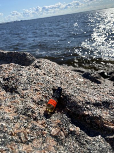 Духи НОТА: ДИКОЕ ПЛЕМЯ 2,5 мл