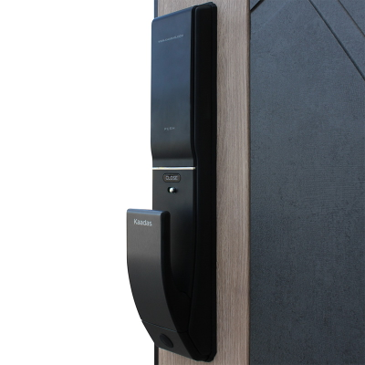 Стальная дверь   Слэб. Заказная модель.