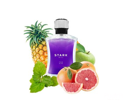 Dilis Туалетная вода мужская Stark WILL | Дилис