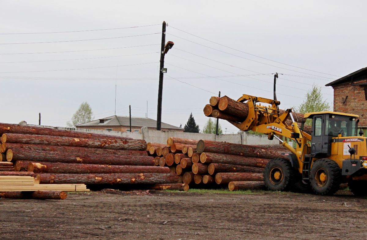 Larch from the Siberian manufacturer