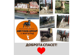 8.05 мы передали наши с вами подарки подопечным куратора Яны (приют АМСТАФФ-GROUP). За период с 07.04 по 07.05 сумма по благотворительным купонам составила 2682 руб. Всем, кто принимает участие в акции, от сободеток большое спасибо!