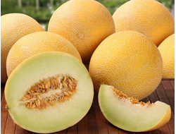 ДЫНЯ МЕДОВАЯ