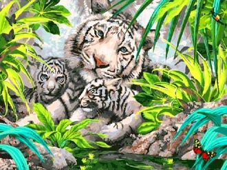 Алмазная картина (мозаика) &quot;Белые тигры&quot; 30*40/40*50 см