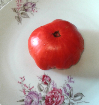 Семена томата Рутгерс