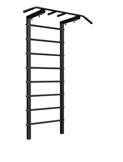 Уличный спортивный комплекс Sv Sport 250