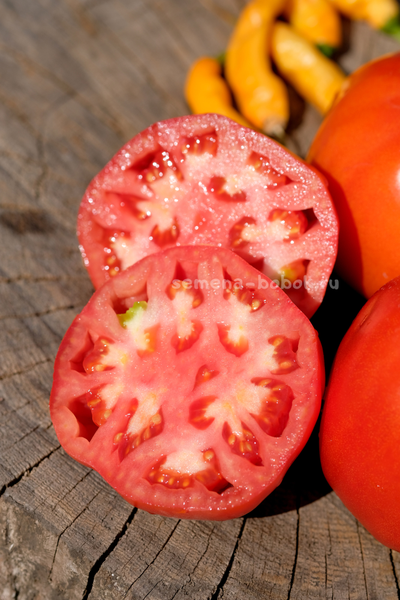 Томат Минусинский Бочковой, 10 шт