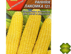 КУКУРУЗА "РАННЯЯ ЛАКОМКА"