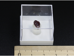 Шпинель кристалл в пластиковом боксе, Бирма, Могок №22044