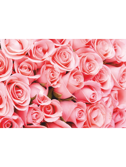 Фотообои Симфония "Романтика"