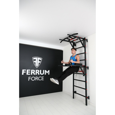 Шведская стенка Ferrum Force FR2 купить в Воронеже