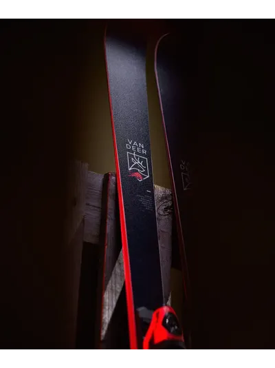 Горные лыжи юниорские Van Deer GS-JR PRO 164cm R18 с платформой Look R21 PRO