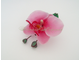 Розовая орхидея из полимерной глины.