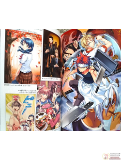 Оригинальный Арт Бук  Shokugeki no Soma - Last Fan Book (Повар-боец Сома)