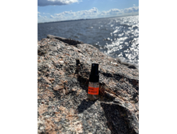 Духи АККОРД: ЧЁРНЫЕ КОШКИ 2,5 мл